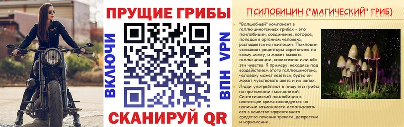 Псилоцибиновые грибы ЛСД  Мещовск 